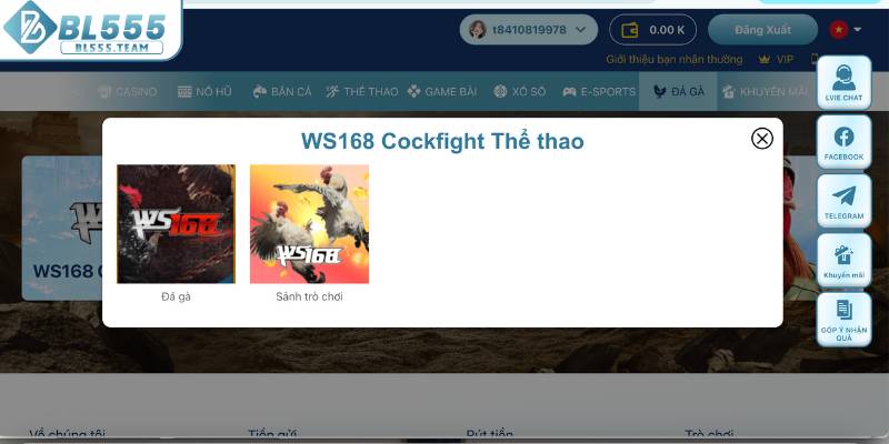 Mọi thông tin đều được mã hóa và bảo mật toàn diện